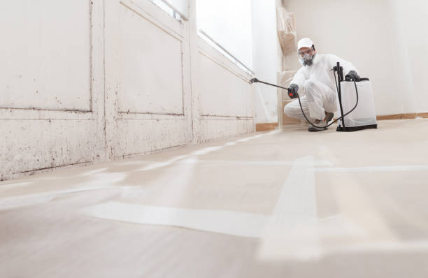 24/7 Emergency Mold Remediation experts in East Walpole, MA